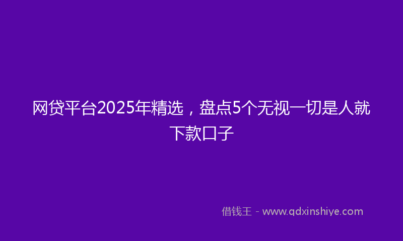 网贷平台2025年精选，盘点5个无视一切是人就下款口子
