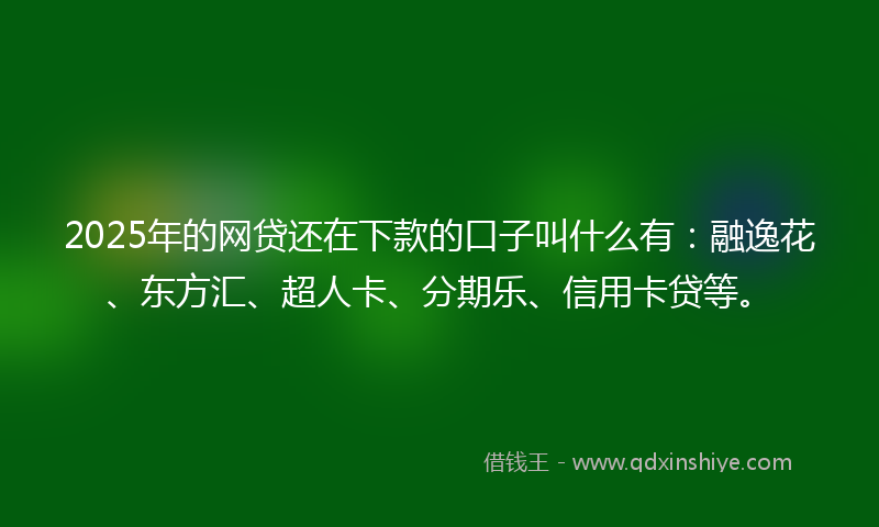 2025年的网贷还在下款的口子叫什么有：融逸花、东方汇、超人卡、分期乐、信用卡贷等。