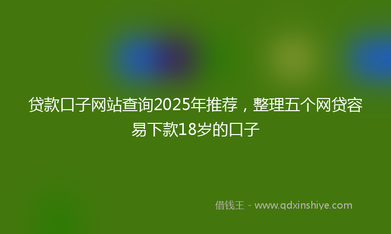 贷款口子网站查询2025年推荐，整理五个网贷容易下款18岁的口子
