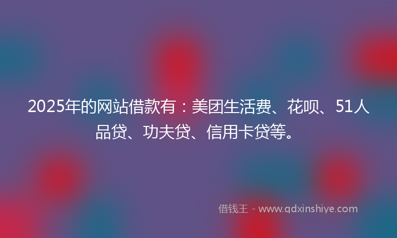 2025年的网站借款有：美团生活费、花呗、51人品贷、功夫贷、信用卡贷等。