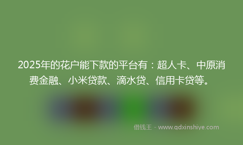 2025年的花户能下款的平台有：超人卡、中原消费金融、小米贷款、滴水贷、信用卡贷等。