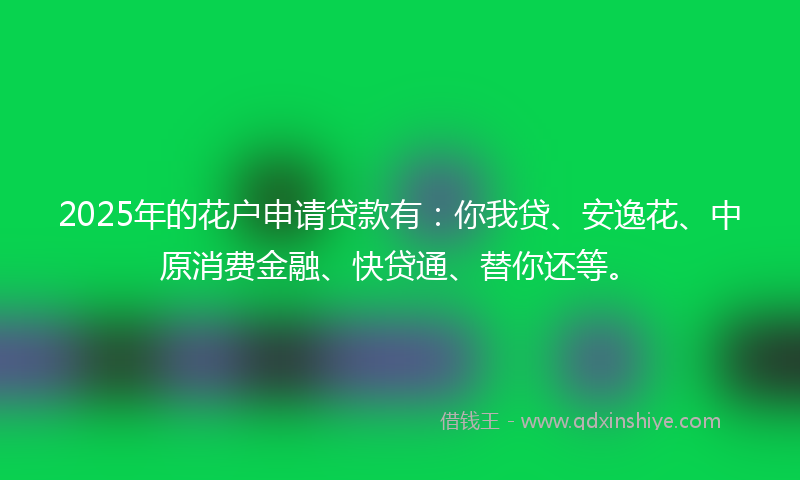 2025年的花户申请贷款有：你我贷、安逸花、中原消费金融、快贷通、替你还等。