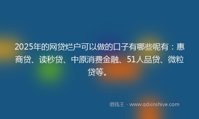 2025年的网贷烂户可以做的口子有哪些呢有：惠商贷、读秒贷、中原消费金融、51人品贷、微粒贷等。