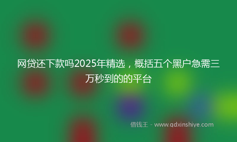 网贷还下款吗2025年精选，概括五个黑户急需三万秒到的的平台