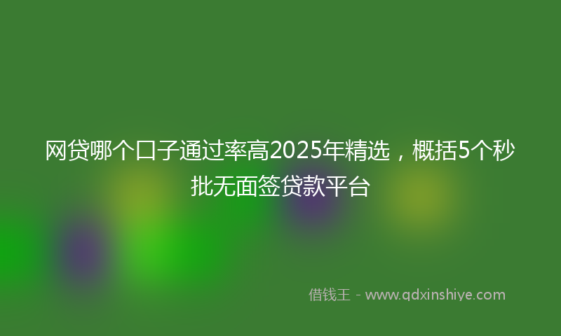 网贷哪个口子通过率高2025年精选，概括5个秒批无面签贷款平台