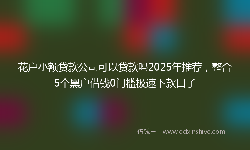 花户小额贷款公司可以贷款吗2025年推荐，整合5个黑户借钱0门槛极速下款口子