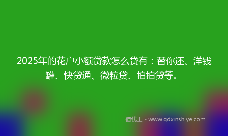 2025年的花户小额贷款怎么贷有：替你还、洋钱罐、快贷通、微粒贷、拍拍贷等。