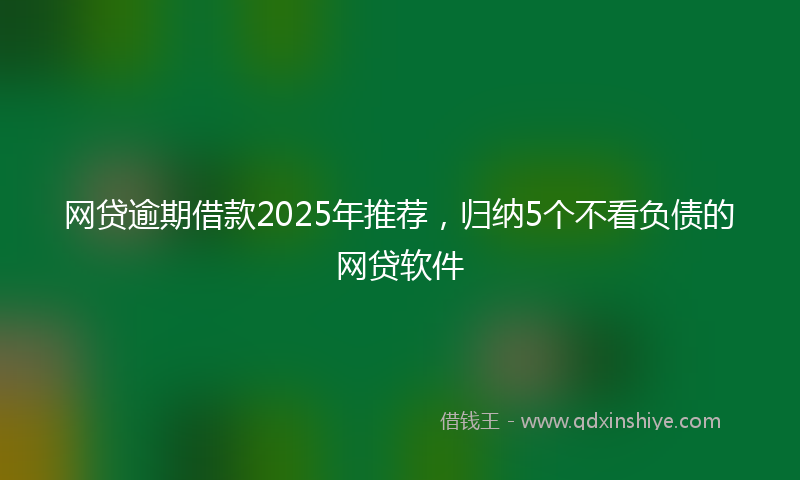 网贷逾期借款2025年推荐，归纳5个不看负债的网贷软件