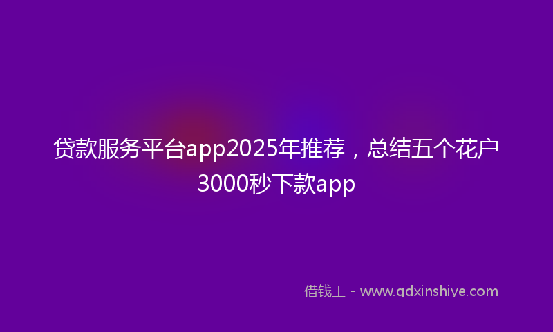 贷款服务平台app2025年推荐，总结五个花户3000秒下款app