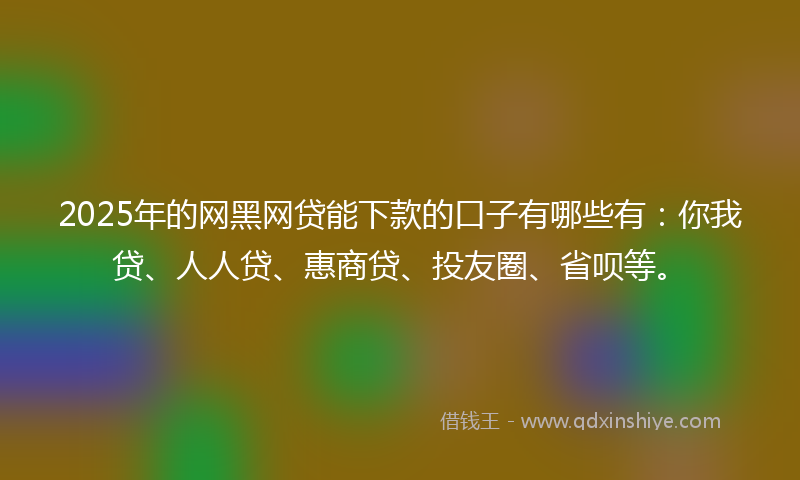 2025年的网黑网贷能下款的口子有哪些有：你我贷、人人贷、惠商贷、投友圈、省呗等。