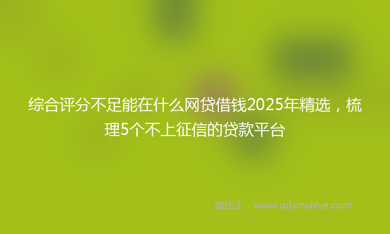综合评分不足能在什么网贷借钱2025年精选，梳理5个不上征信的贷款平台