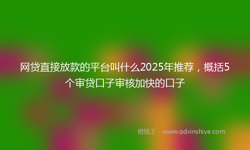 网贷直接放款的平台叫什么2025年推荐，概括5个审贷口子审核加快的口子