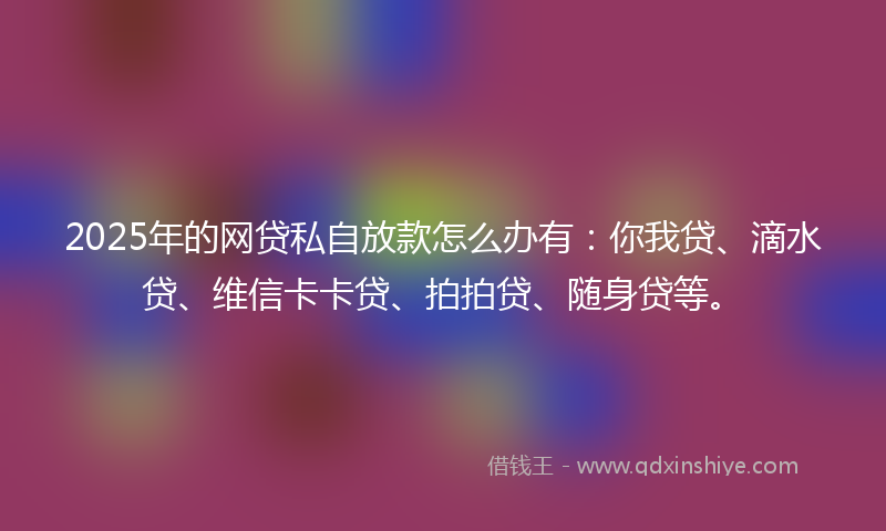 2025年的网贷私自放款怎么办有：你我贷、滴水贷、维信卡卡贷、拍拍贷、随身贷等。