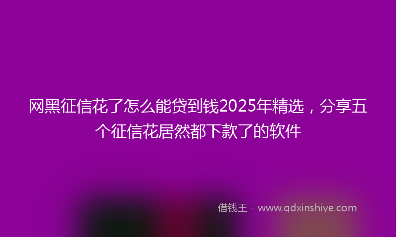 网黑征信花了怎么能贷到钱2025年精选，分享五个征信花居然都下款了的软件