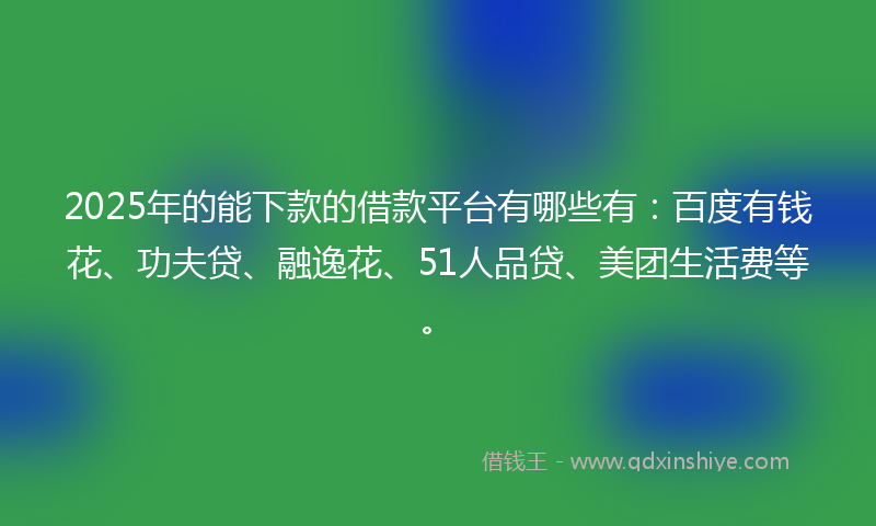 2025年的能下款的借款平台有哪些有：百度有钱花、功夫贷、融逸花、51人品贷、美团生活费等。