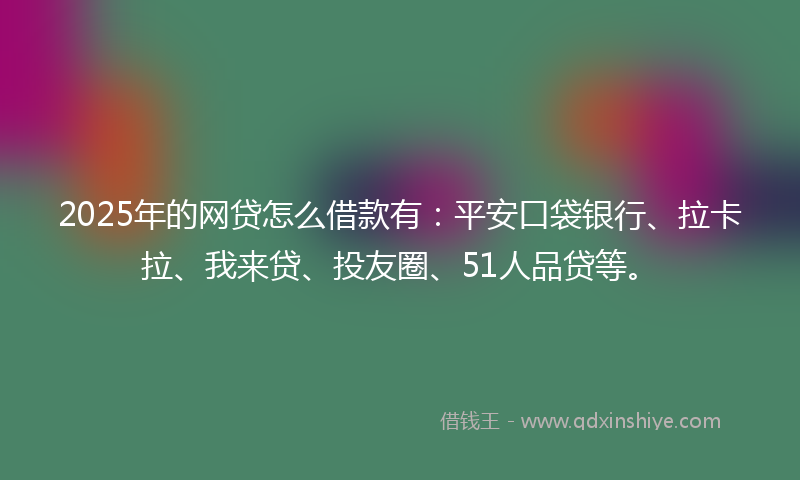 2025年的网贷怎么借款有：平安口袋银行、拉卡拉、我来贷、投友圈、51人品贷等。