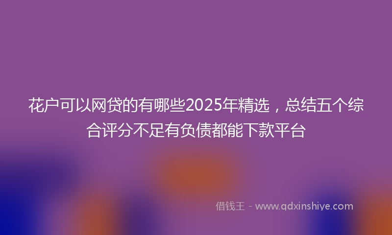 花户可以网贷的有哪些2025年精选，总结五个综合评分不足有负债都能下款平台