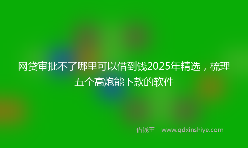 网贷审批不了哪里可以借到钱2025年精选，梳理五个高炮能下款的软件