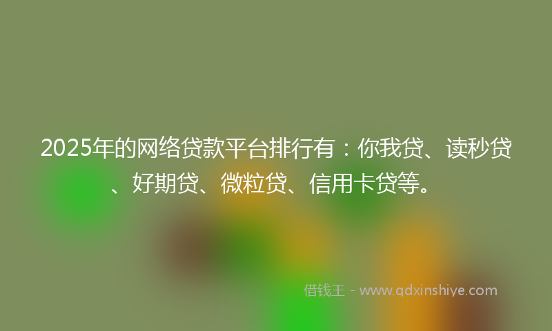 2025年的网络贷款平台排行有：你我贷、读秒贷、好期贷、微粒贷、信用卡贷等。