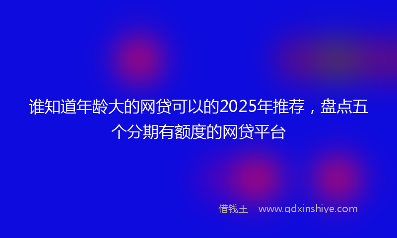 谁知道年龄大的网贷可以的2025年推荐，盘点五个分期有额度的网贷平台