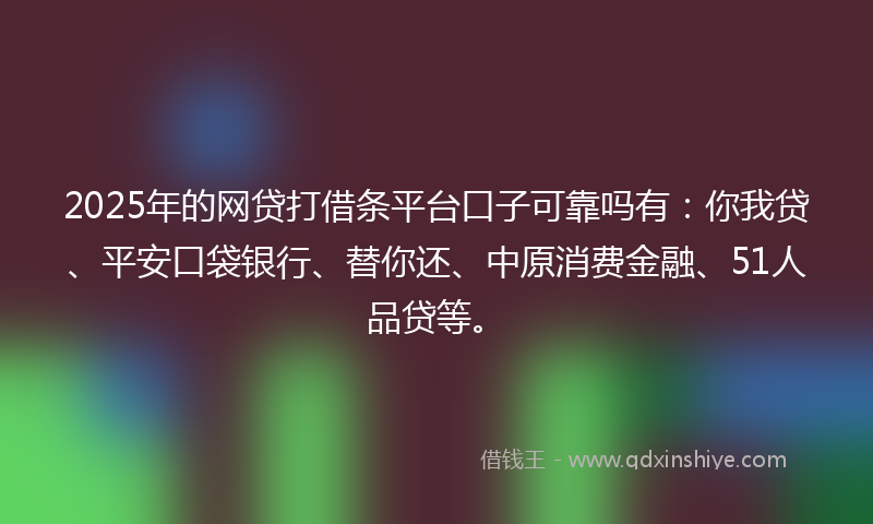 2025年的网贷打借条平台口子可靠吗有：你我贷、平安口袋银行、替你还、中原消费金融、51人品贷等。