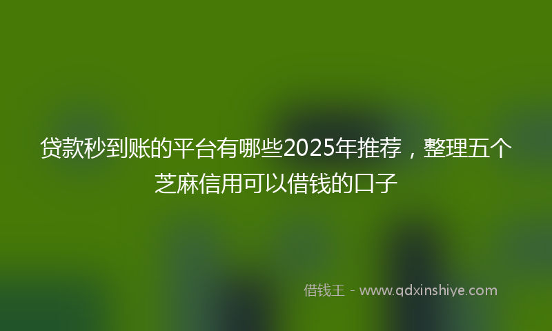 贷款秒到账的平台有哪些2025年推荐，整理五个芝麻信用可以借钱的口子