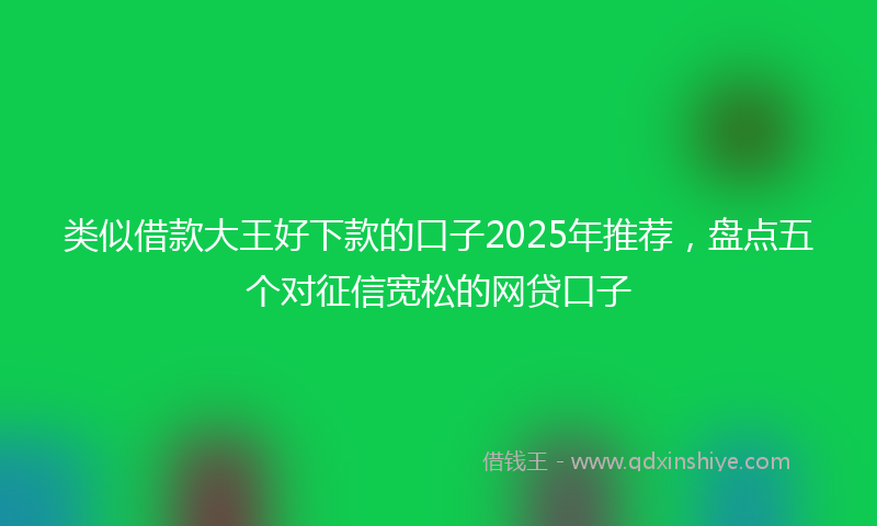 类似借款大王好下款的口子2025年推荐，盘点五个对征信宽松的网贷口子