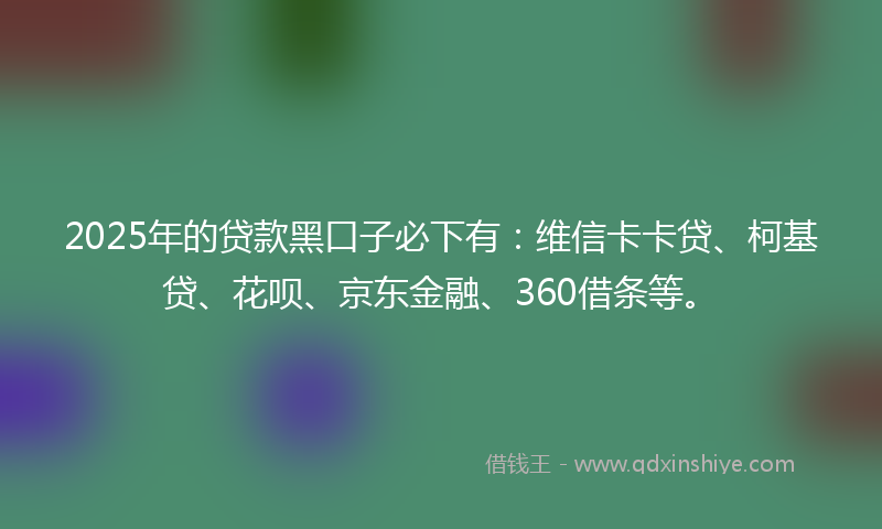 2025年的贷款黑口子必下有：维信卡卡贷、柯基贷、花呗、京东金融、360借条等。