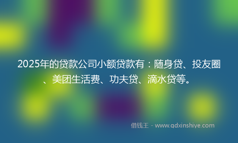 2025年的贷款公司小额贷款有：随身贷、投友圈、美团生活费、功夫贷、滴水贷等。