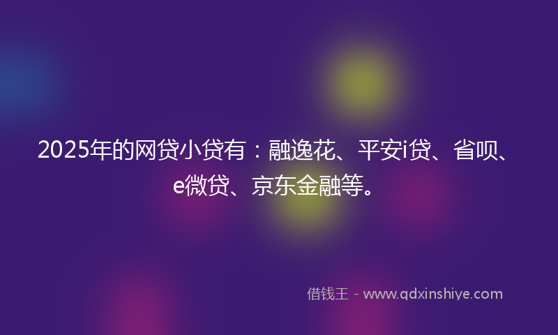 2025年的网贷小贷有：融逸花、平安i贷、省呗、e微贷、京东金融等。