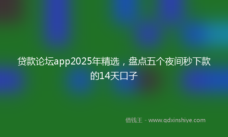 贷款论坛app2025年精选，盘点五个夜间秒下款的14天口子