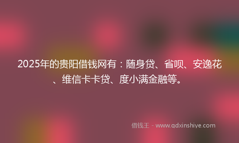 2025年的贵阳借钱网有：随身贷、省呗、安逸花、维信卡卡贷、度小满金融等。