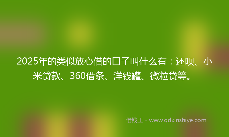 2025年的类似放心借的口子叫什么有：还呗、小米贷款、360借条、洋钱罐、微粒贷等。