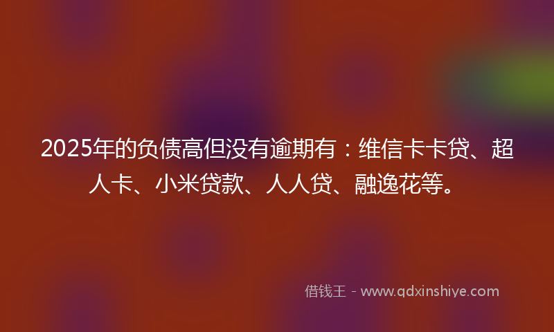 2025年的负债高但没有逾期有：维信卡卡贷、超人卡、小米贷款、人人贷、融逸花等。