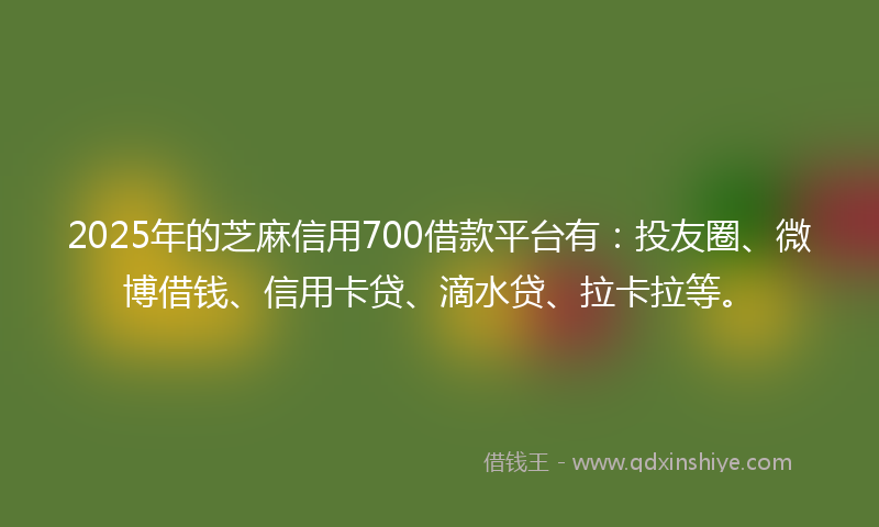 2025年的芝麻信用700借款平台有：投友圈、微博借钱、信用卡贷、滴水贷、拉卡拉等。