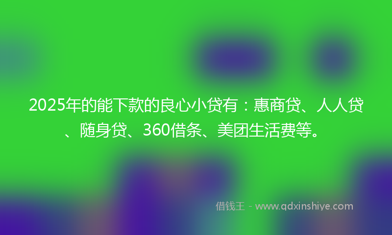 2025年的能下款的良心小贷有：惠商贷、人人贷、随身贷、360借条、美团生活费等。