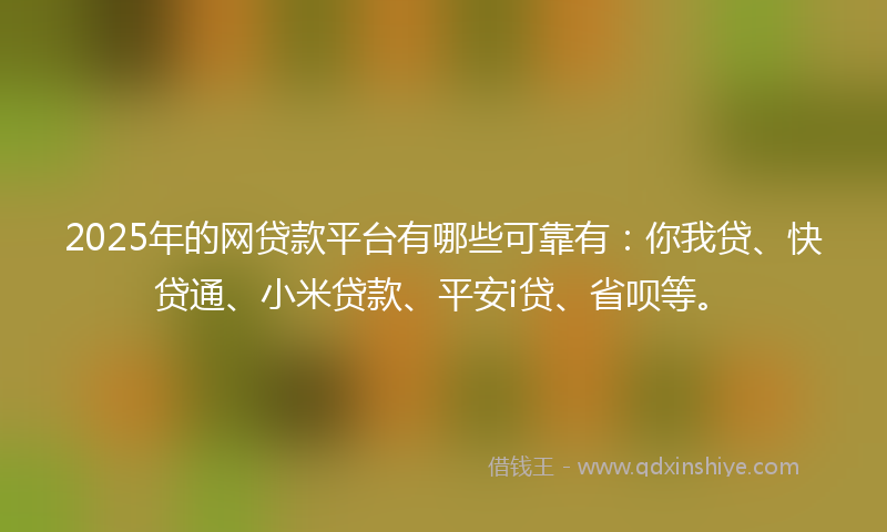 2025年的网贷款平台有哪些可靠有：你我贷、快贷通、小米贷款、平安i贷、省呗等。