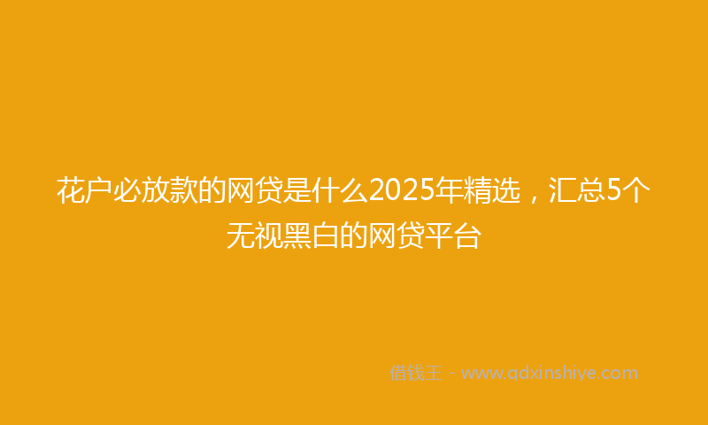 花户必放款的网贷是什么2025年精选，汇总5个无视黑白的网贷平台