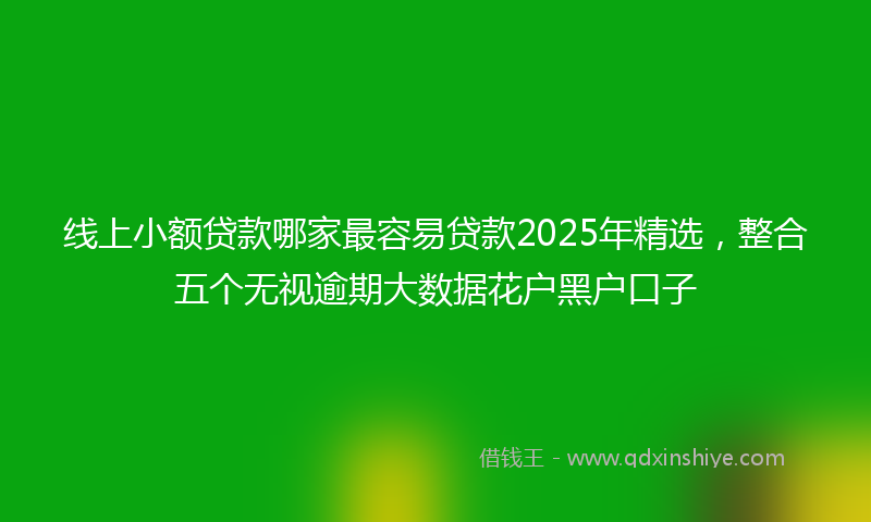 线上小额贷款哪家最容易贷款2025年精选，整合五个无视逾期大数据花户黑户口子