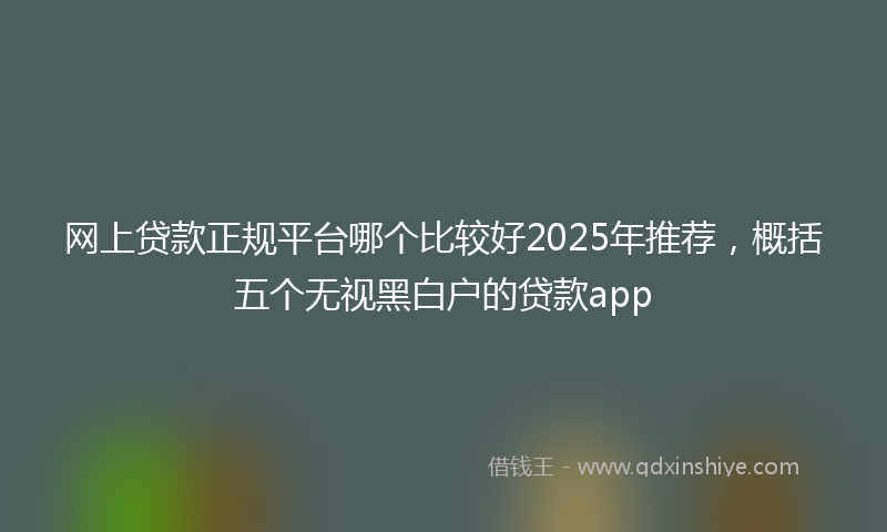 网上贷款正规平台哪个比较好2025年推荐，概括五个无视黑白户的贷款app