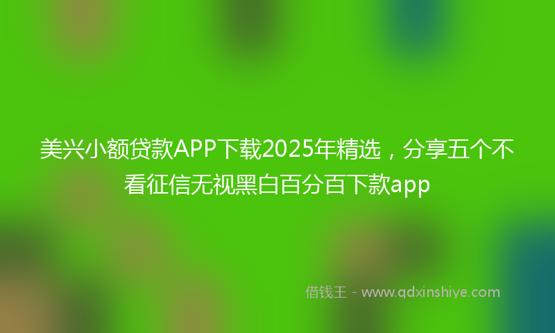 美兴小额贷款APP下载2025年精选，分享五个不看征信无视黑白百分百下款app