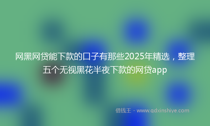 网黑网贷能下款的口子有那些2025年精选，整理五个无视黑花半夜下款的网贷app
