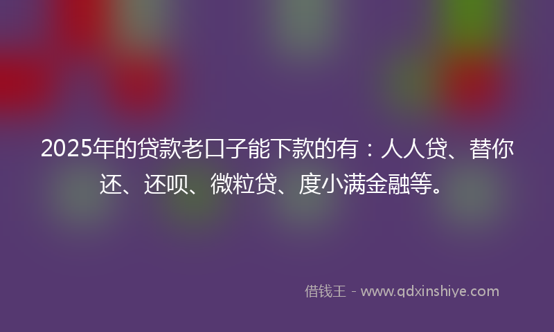 2025年的贷款老口子能下款的有：人人贷、替你还、还呗、微粒贷、度小满金融等。