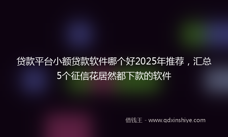 贷款平台小额贷款软件哪个好2025年推荐，汇总5个征信花居然都下款的软件