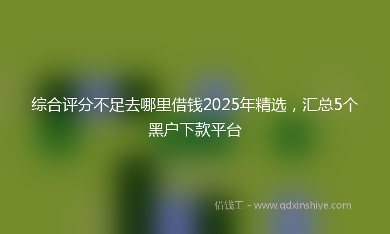 综合评分不足去哪里借钱2025年精选，汇总5个黑户下款平台