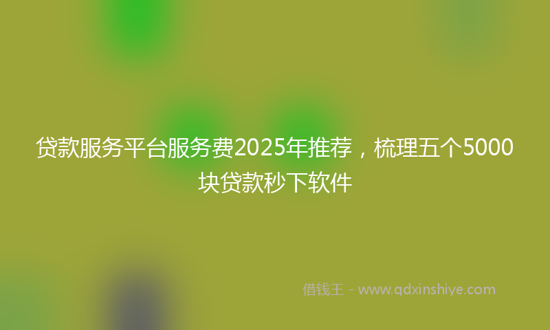贷款服务平台服务费2025年推荐，梳理五个5000块贷款秒下软件