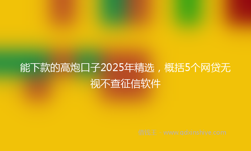 能下款的高炮口子2025年精选，概括5个网贷无视不查征信软件