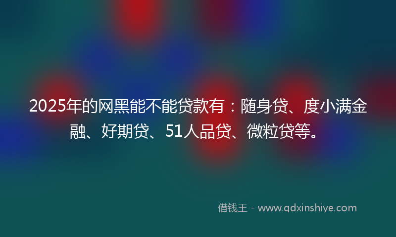 2025年的网黑能不能贷款有：随身贷、度小满金融、好期贷、51人品贷、微粒贷等。
