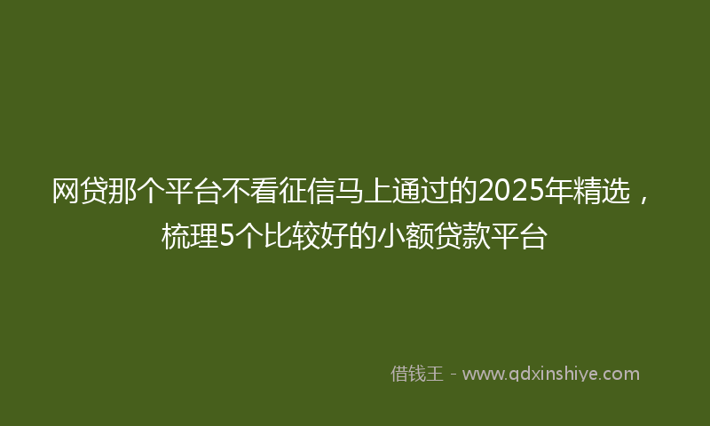 网贷那个平台不看征信马上通过的2025年精选，梳理5个比较好的小额贷款平台