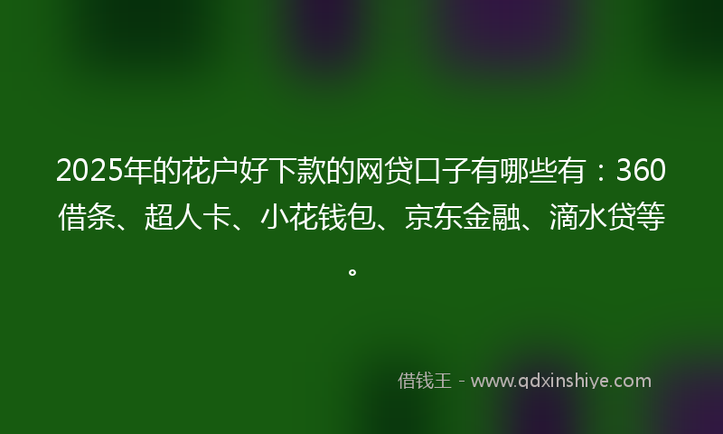 2025年的花户好下款的网贷口子有哪些有：360借条、超人卡、小花钱包、京东金融、滴水贷等。